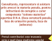 Servicii juridice SPF25