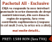 Pachetul All-Exclusive 1500 RON